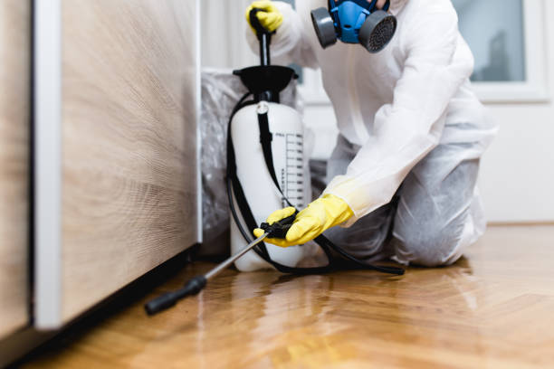 Best Pest Prevention Services  in Berkeley, CA