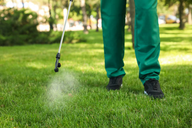 Best Affordable Pest Control Services  in Berkeley, CA