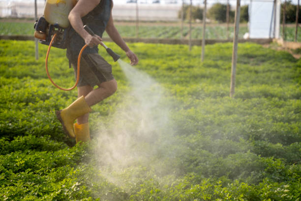 Best Best Pest Control Near Me  in Berkeley, CA