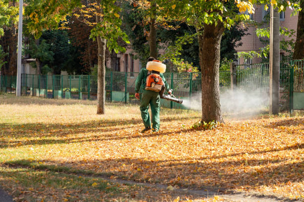 Best Bed Bug Extermination  in Berkeley, CA