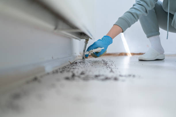 Best Wasp Removal Services  in Berkeley, CA